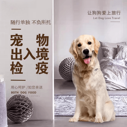 云林县宠物托运到哥伦比亚猫狗宠物入境规定和