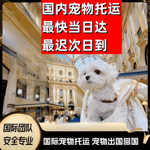 云林县到澳大利亚（澳洲）宠物入境规定和要求